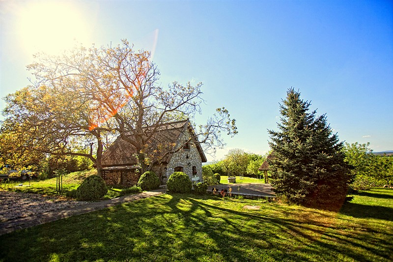 Walnut Tree Cottage In Lovasberény